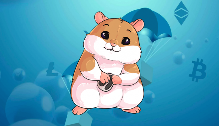 hamster kombat