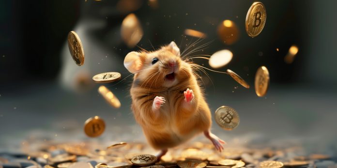 hamster kombat