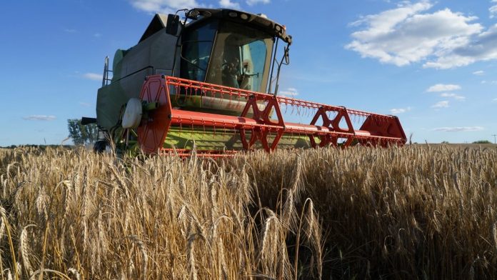 USDA снизило прогноз урожая пшеницы в Украине до 22 млн тонн, при этом урожай сои ожидается на рекордном уровне — 7,6 млн тонн. USDA снизило прогноз урожая пшеницы в Украине до 22 млн тонн, при этом урожай сои ожидается на рекордном уровне — 7,6 млн тонн.