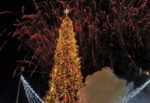 Главная елка Украины 2026: где установят и когда откроют праздничную локацию Главная елка Украины 2026 на Софийской площади откроется 6 декабря. Узнайте программу, праздничную локацию, фотозоны и меры безопасности для семейного отдыха.