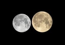 Бобровое суперлуние 2025 над Украиной: когда и где увидеть самое яркое полнолуние года В ночь с 5 на 6 ноября украинцы смогут наблюдать самый яркий и большой суперлуние 2025 года — Бобровый Месяц. Узнайте, где будут лучшие условия для наблюдения.