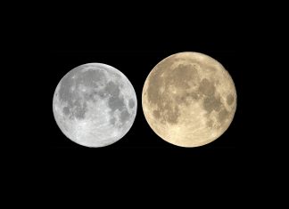 Бобровое суперлуние 2025 над Украиной: когда и где увидеть самое яркое полнолуние года В ночь с 5 на 6 ноября украинцы смогут наблюдать самый яркий и большой суперлуние 2025 года — Бобровый Месяц. Узнайте, где будут лучшие условия для наблюдения.