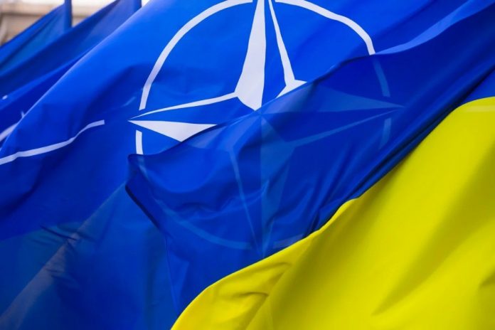НАТО помощь Украине столкнулась с сопротивлением пяти стран: план Рютте о 0,25% ВВП не получил единогласной поддержки.