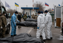 Россия и Украина обменялись телами погибших: что известно о передаче 18 июня 2026 Обмен телами погибших прошел 18 июня: Россия передала Украине 522 тела, Киев вернул 33 тела погибших военнослужащих.