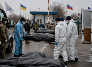 Россия и Украина обменялись телами погибших: что известно о передаче 18 июня 2026 Обмен телами погибших прошел 18 июня: Россия передала Украине 522 тела, Киев вернул 33 тела погибших военнослужащих.