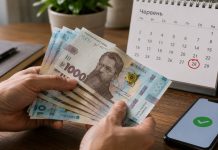 Выплаты ВПЛ до 3 000 гривен за июнь 2026 в Украине: когда деньги поступят на карты Выплаты ВПЛ до 3 000 гривен поступят после 28 июня 2026 года. Кто получит деньги, какие суммы назначены и почему зачисление может задержаться.