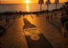 Corona превратила закат в рекламу с силуэтом фирменной бутылки: как работает Corona Sun Shadows Реклама Corona появляется на улицах только во время заката: городские тени на несколько минут создают силуэт фирменной бутылки.