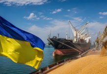 Украина ввела санкции против 13 судов и 28 компаний за незаконный вывоз зерна Санкции Украины против вывоза зерна затронули 13 судов, 28 компаний и 11 граждан России, связанных с перевозками с оккупированных территорий.