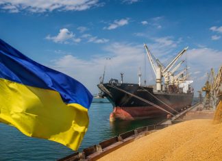 Украина ввела санкции против 13 судов и 28 компаний за незаконный вывоз зерна Санкции Украины против вывоза зерна затронули 13 судов, 28 компаний и 11 граждан России, связанных с перевозками с оккупированных территорий.