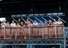МастерШеф Профессионалы 5 сезон 4 выпуск: дата выхода и где смотреть онлайн МастерШеф Профессионалы 5 сезон 4 выпуск выйдет 12 сентября 2026 года: где смотреть онлайн, время эфира на СТБ и официальный выпуск.